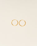 Two gold hoop earrings on a beige background