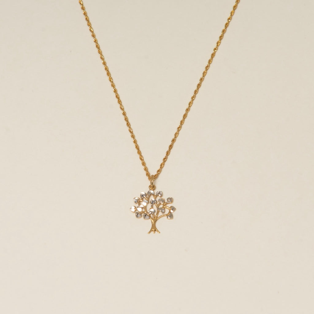 The Becoming Necklace