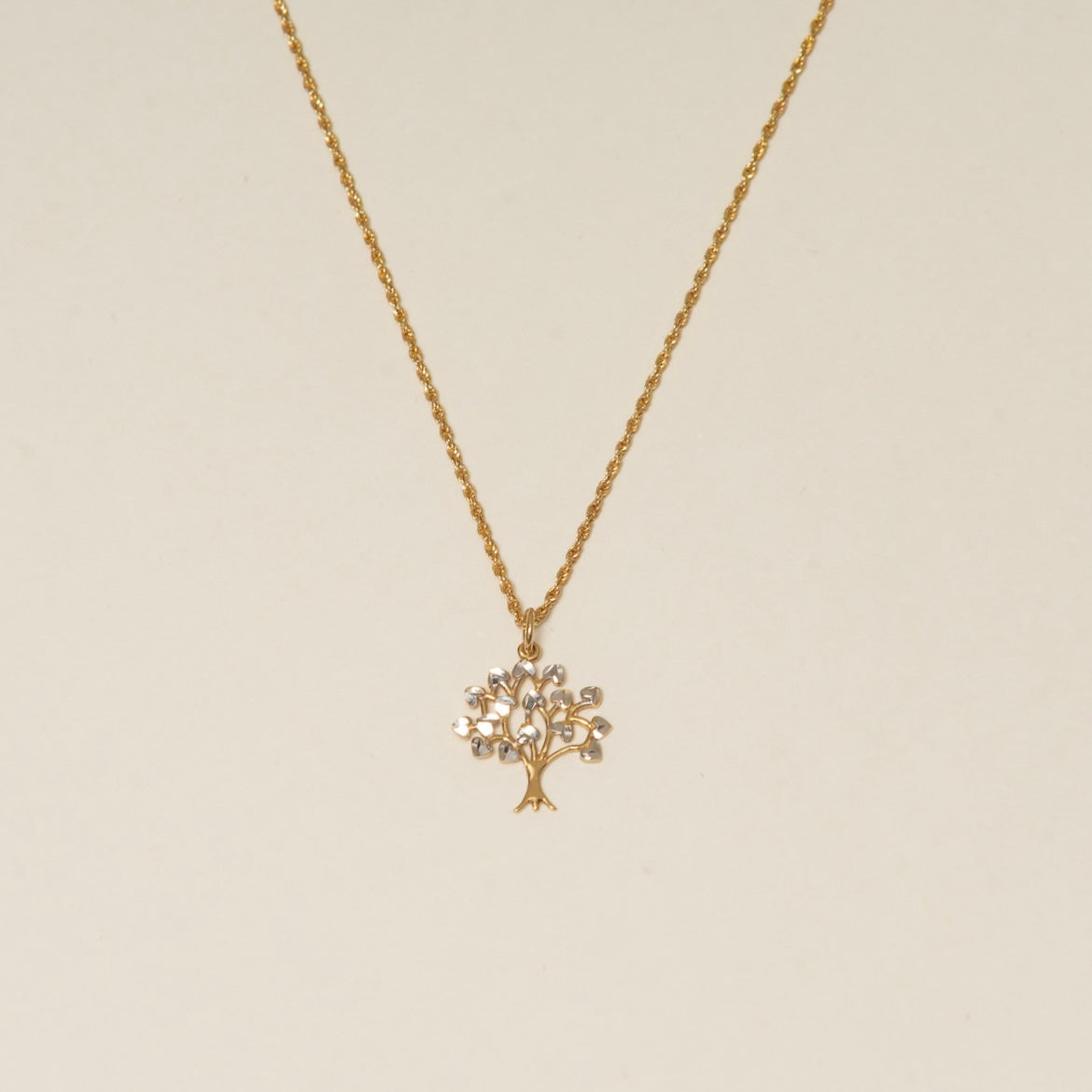 The Becoming Necklace